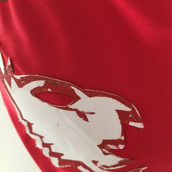 Lucha Libre Kid Wrestling Mask Doctor Wagner - Picture 2 of 7